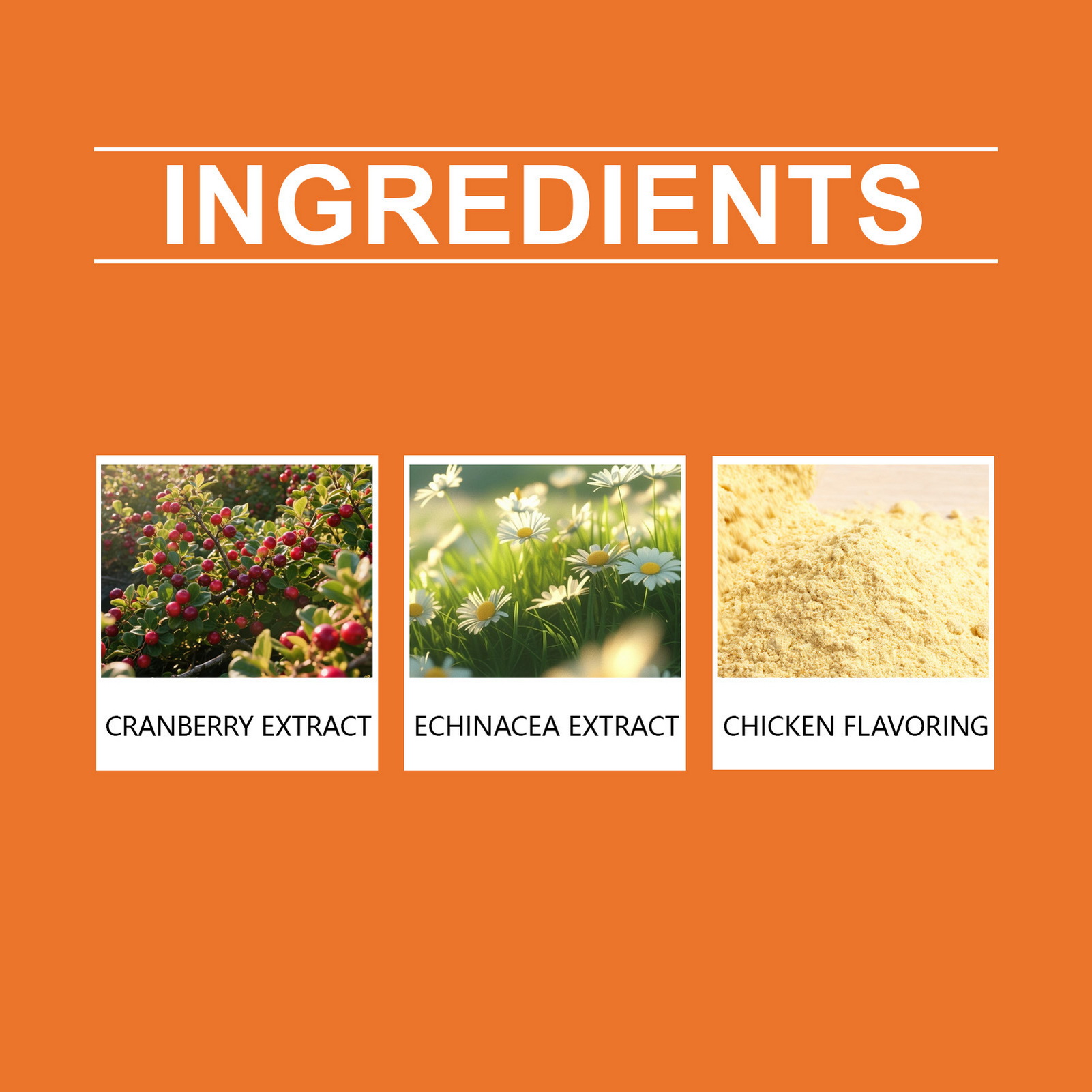 60ml Chicken Flavor Herbal-Dro - Herbal Wellness Healthcare reseña y precio