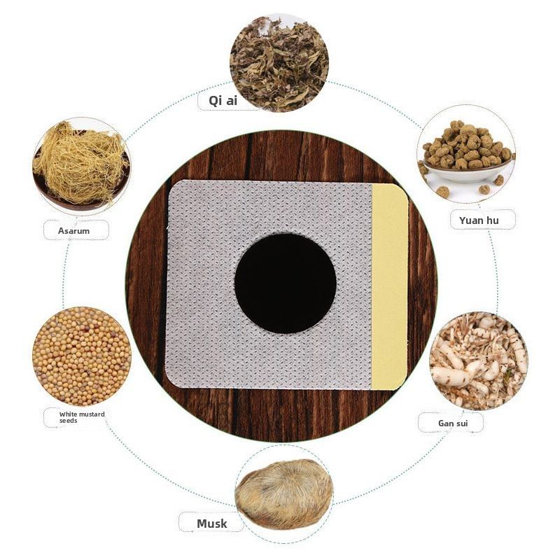 20PCS Natural Wormwood Extract - Herbal Wellness Healthcare reseña y precio