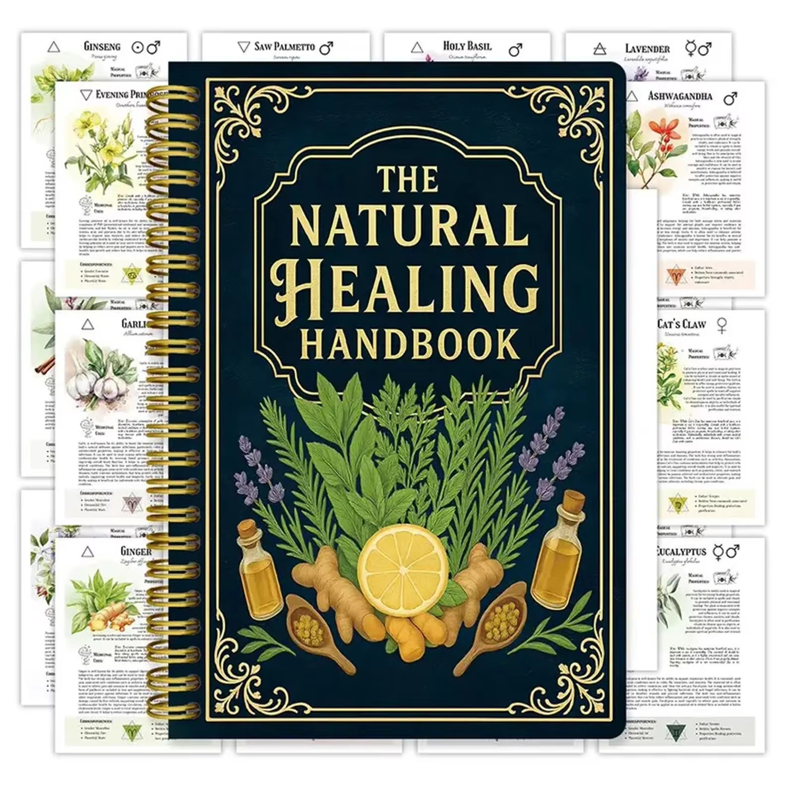 Healing Handbook By Luna Filby - Healing Wellness reseña y precio