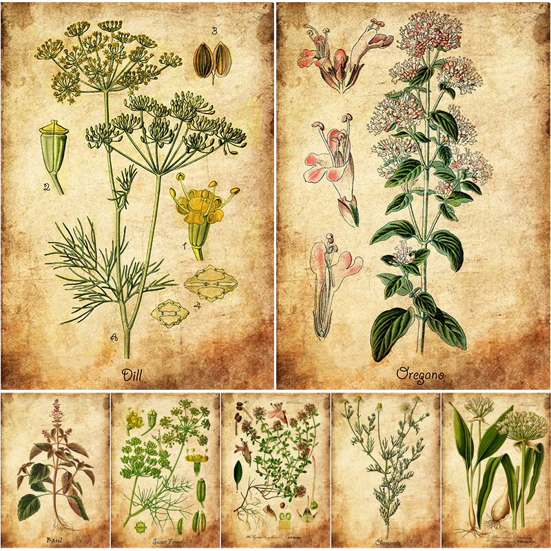 Herb Flowers Retro Poster Vint - Herbal Wallpaper reseña y precio