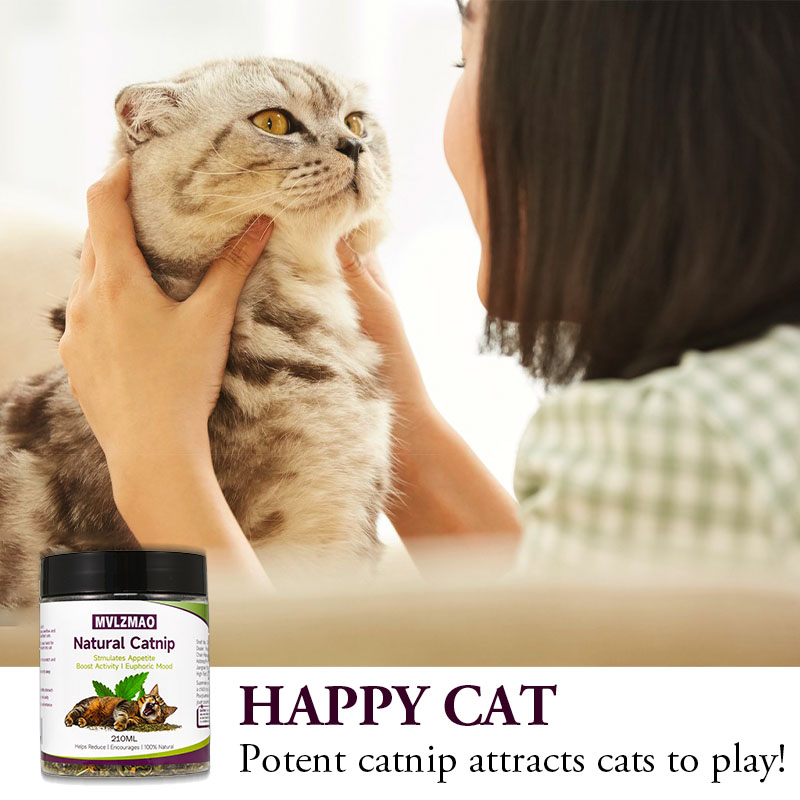 Cat Toys - Silvervine Catnip f - Herbal Wellness Products reseña y precio